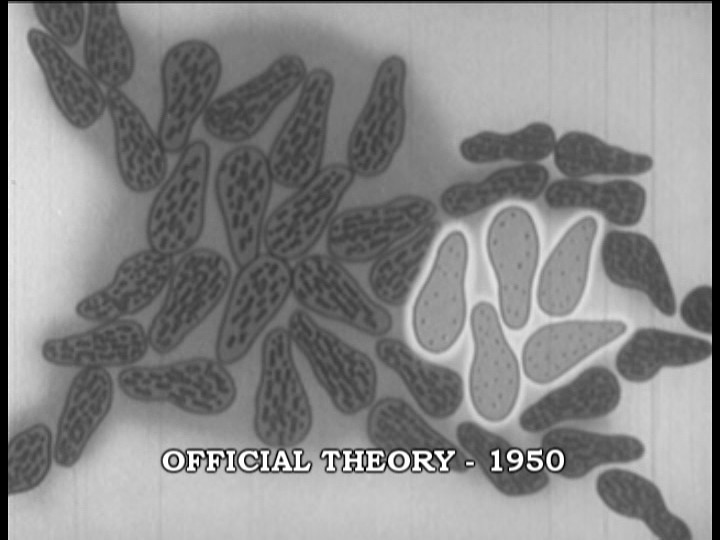 Cancer Image